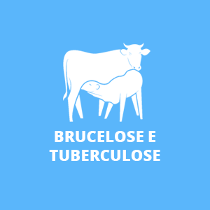 ícone com imagem de vaquinha e bezerro