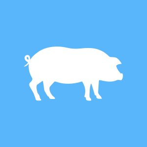 Ícone sanidade suídea