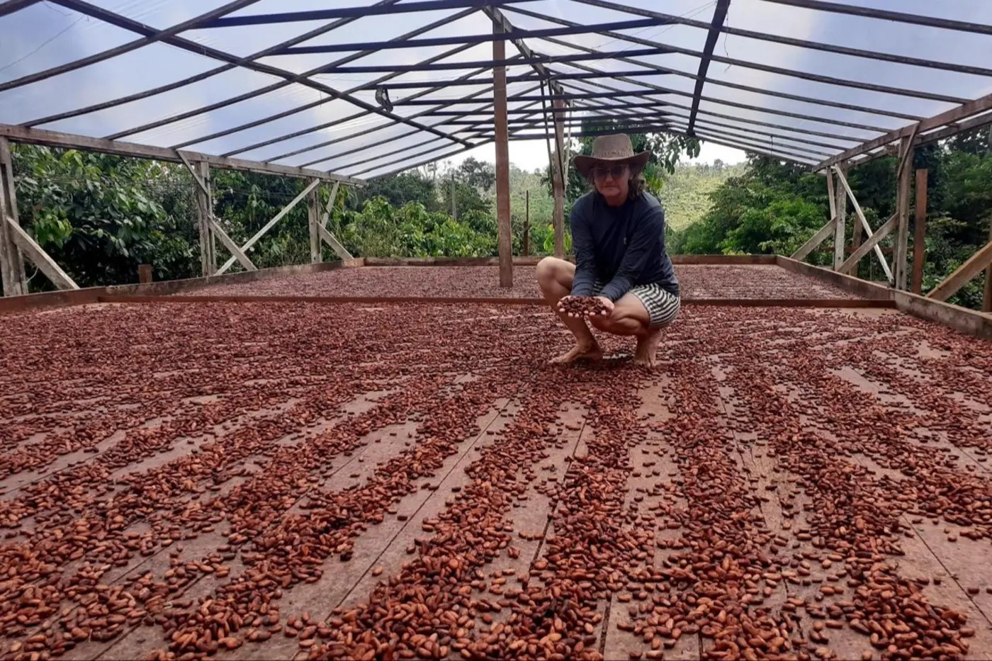 produtora rural de Brasil Novo conquista registro para o chocolate orgânico que produz