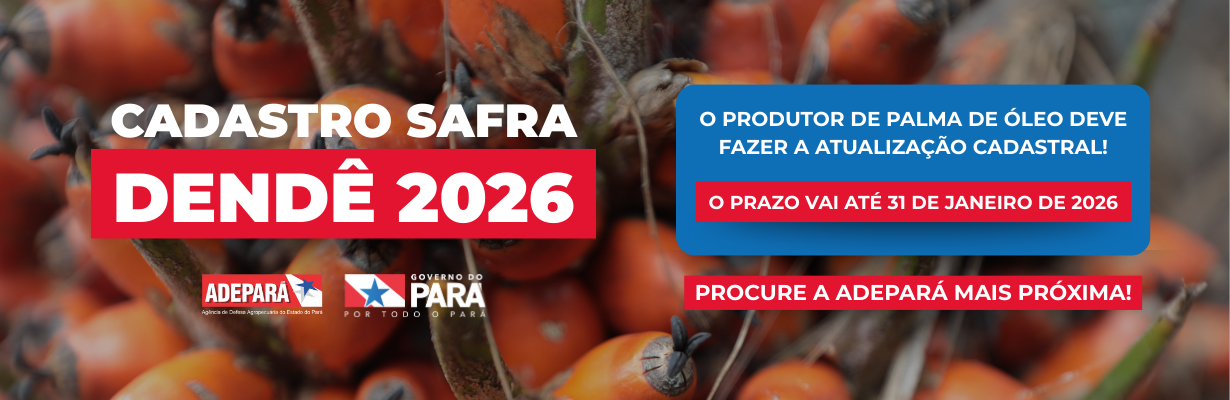 cachos de dendê ao fundo ,à esquerda escrito atualização da safra 2026 e à direta informações ao produtor