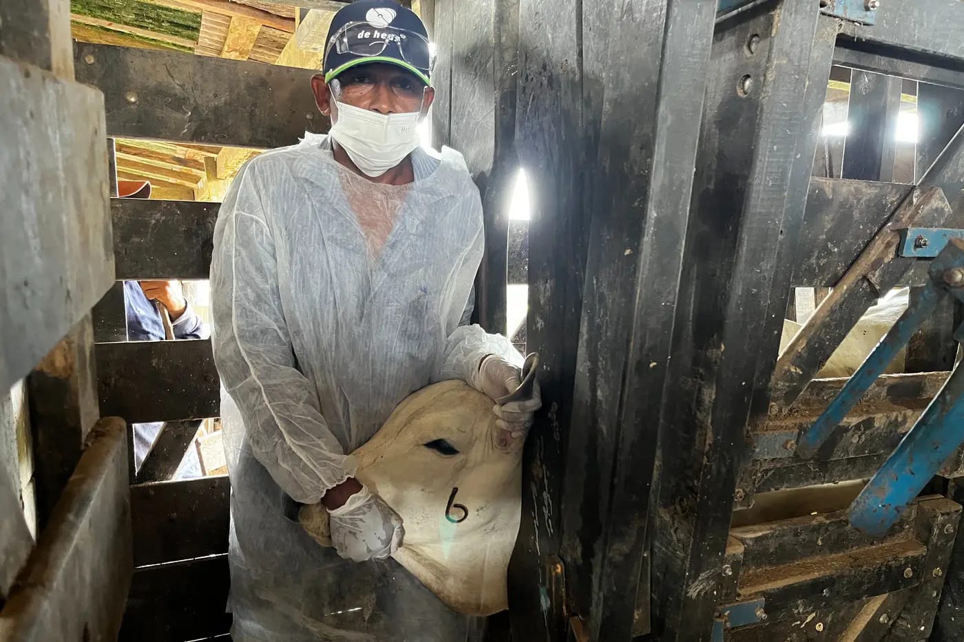 Curso de Capacitação São Domingos do Capim