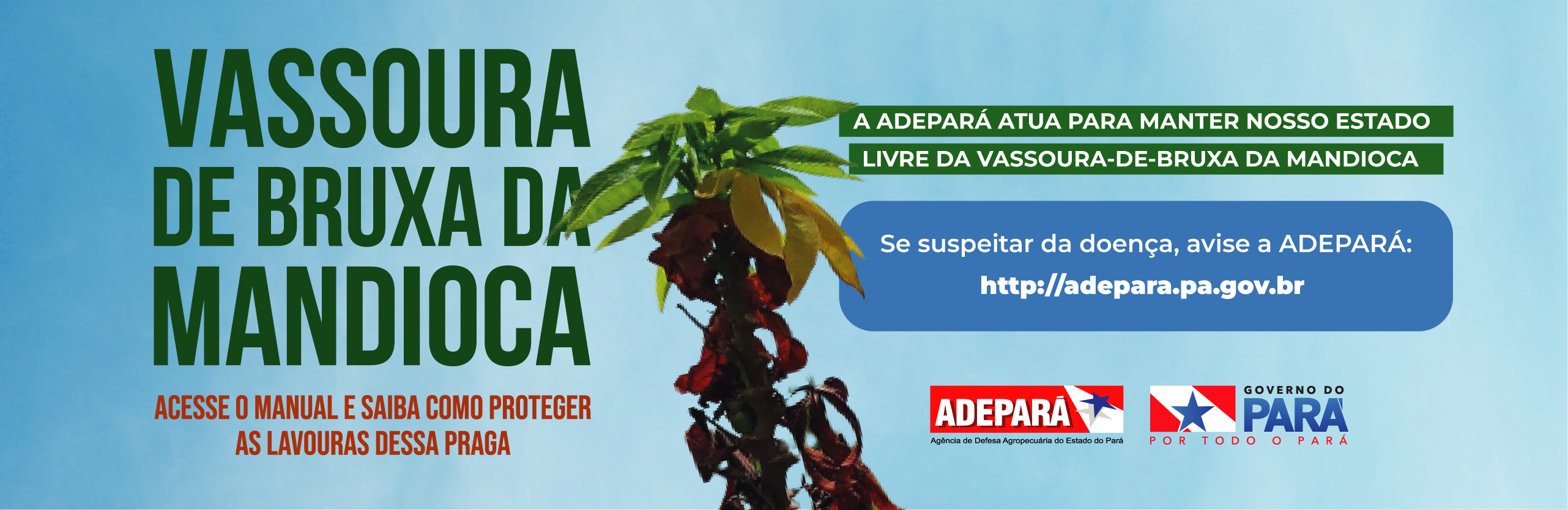 Webbanner Vassoura de Bruxa