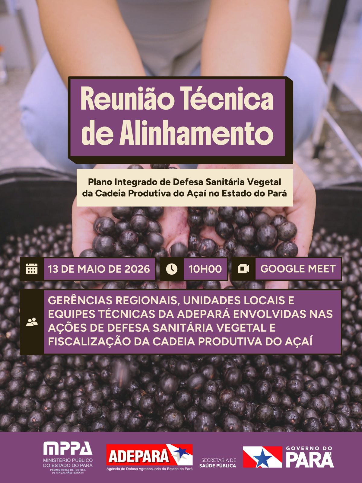 Reunião Técnica discute Plano Integrado de defesa sanitária para o açaí