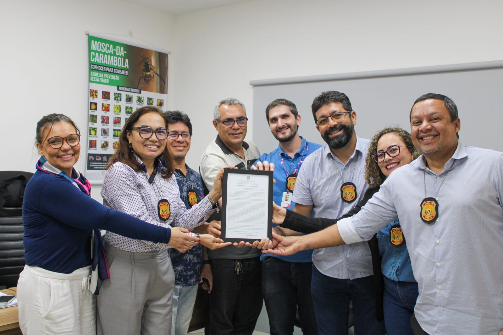 MAPA declara erradicação da Mosca-da-Carambola em seis municípios 