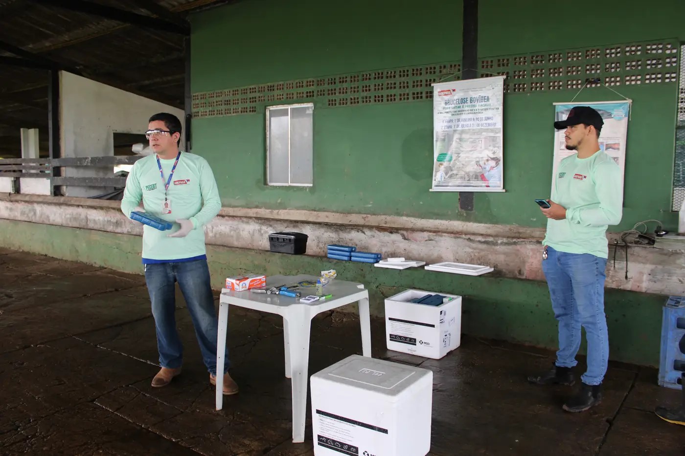 curso prático na fazenda