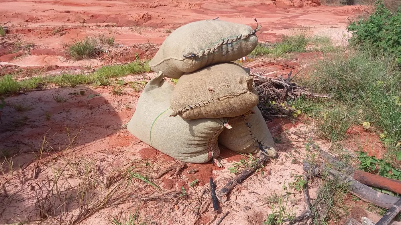 sacas de amêndoas de cacau