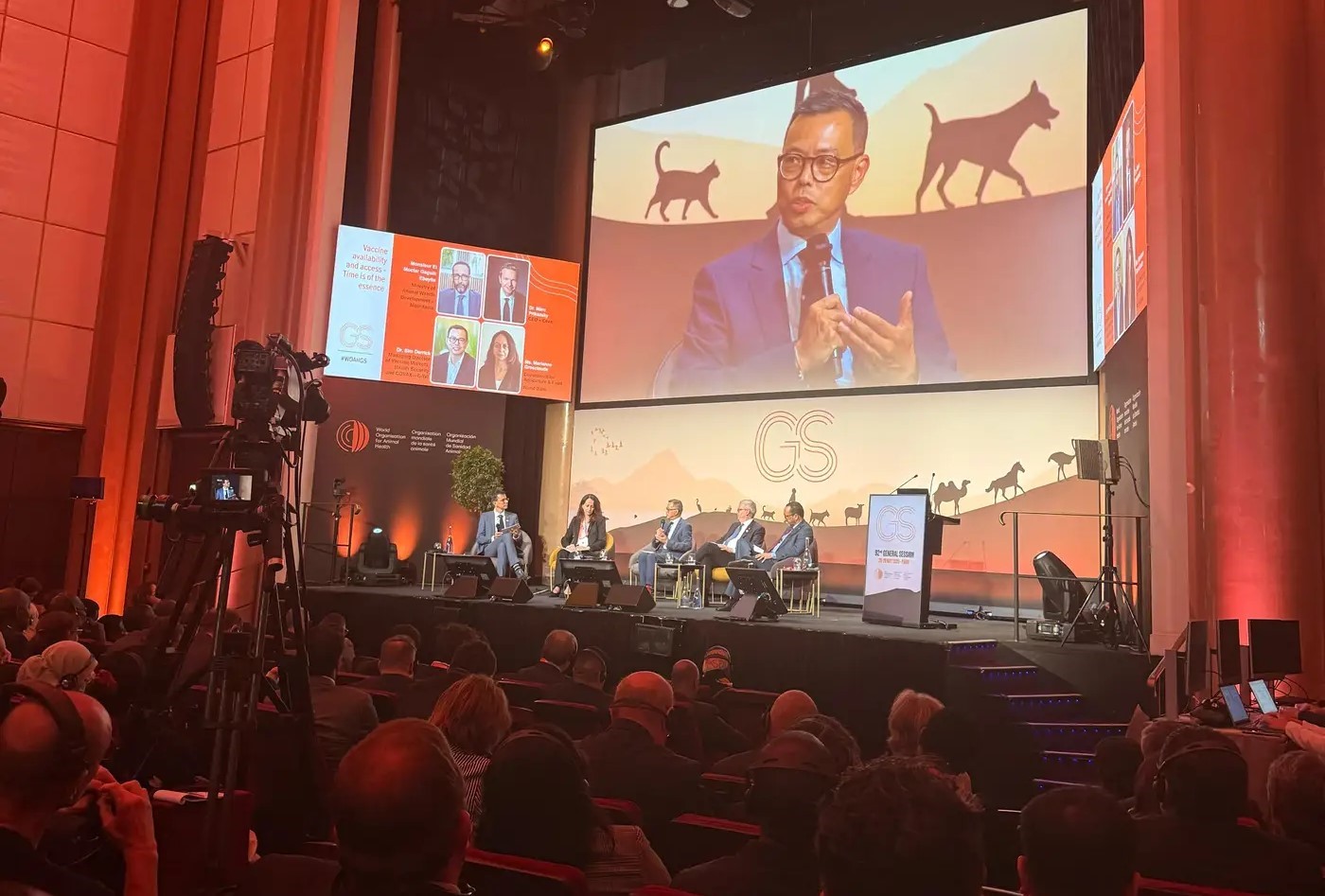 Assembleia OMSA 2025 em Paris