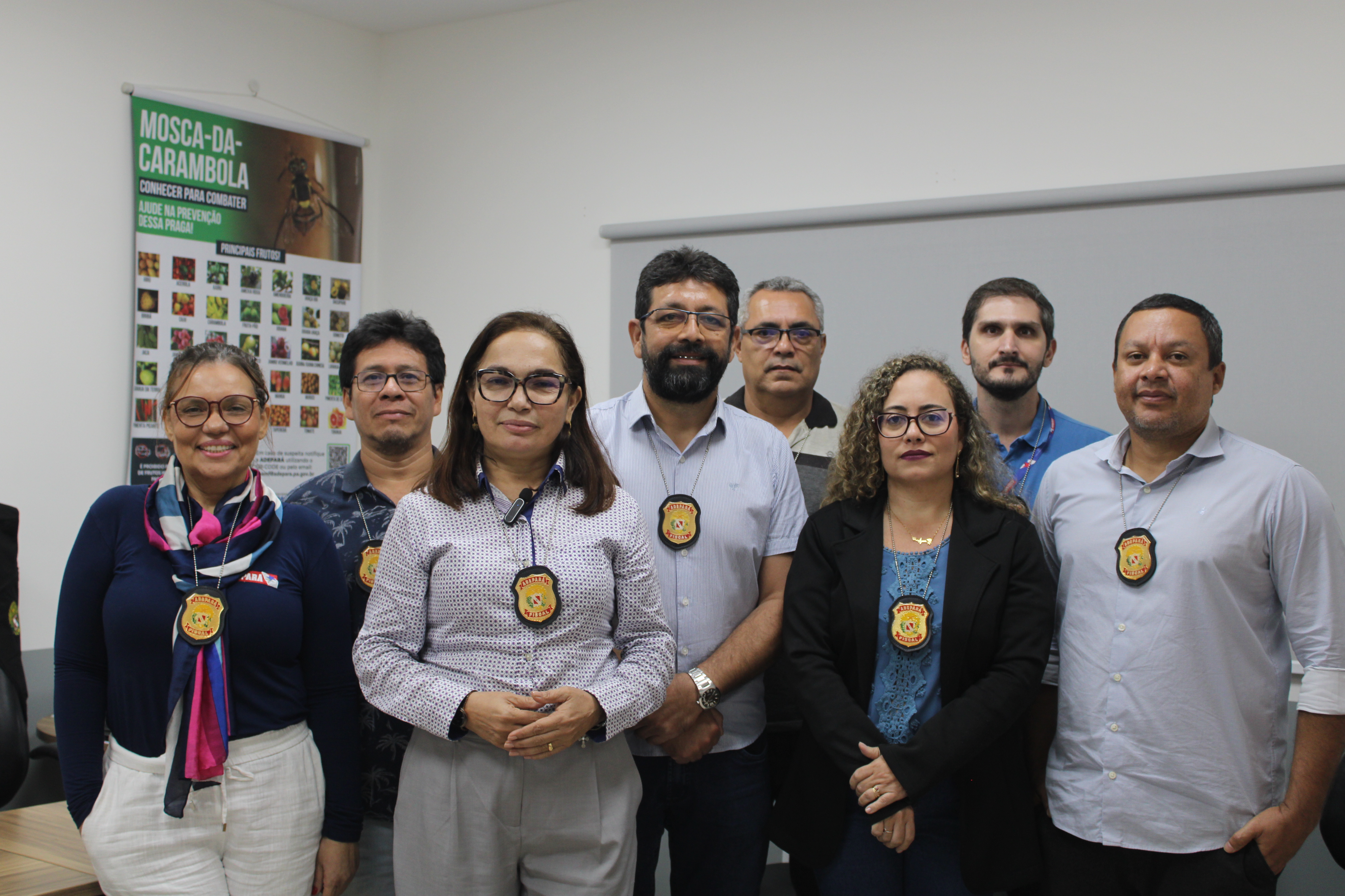 Erradicação da Mosca-da-Carambola