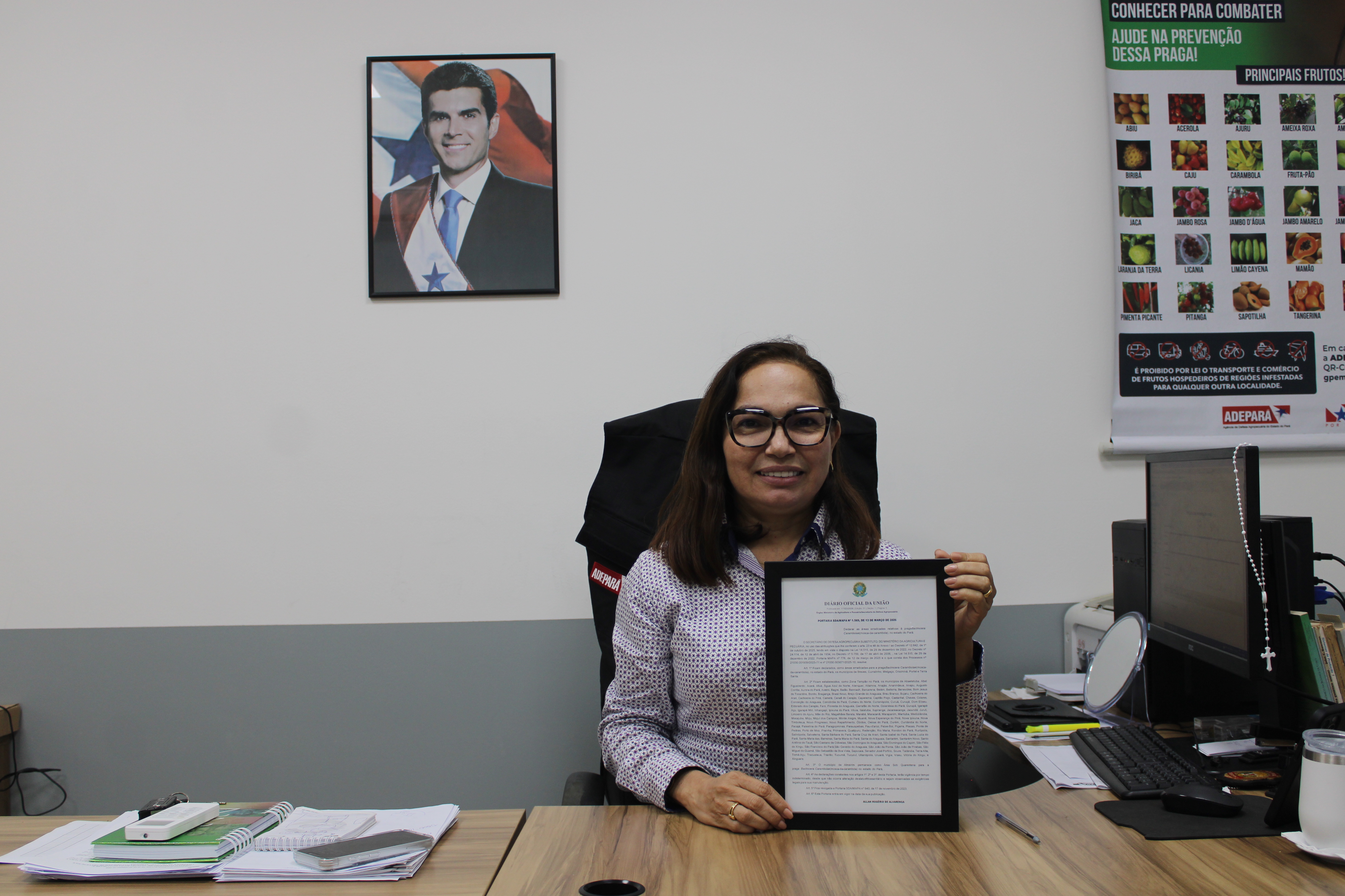 Erradicação da Mosca-da-Carambola 