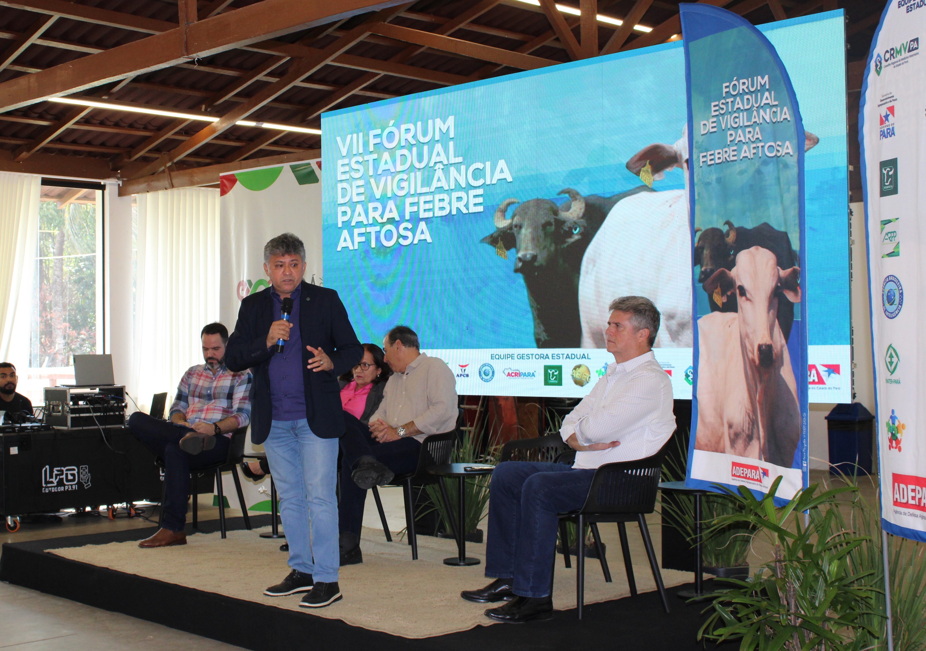 representante SFA/PA