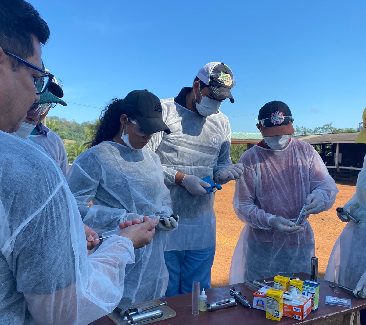 veterinários aplicando vacina da Brucelose