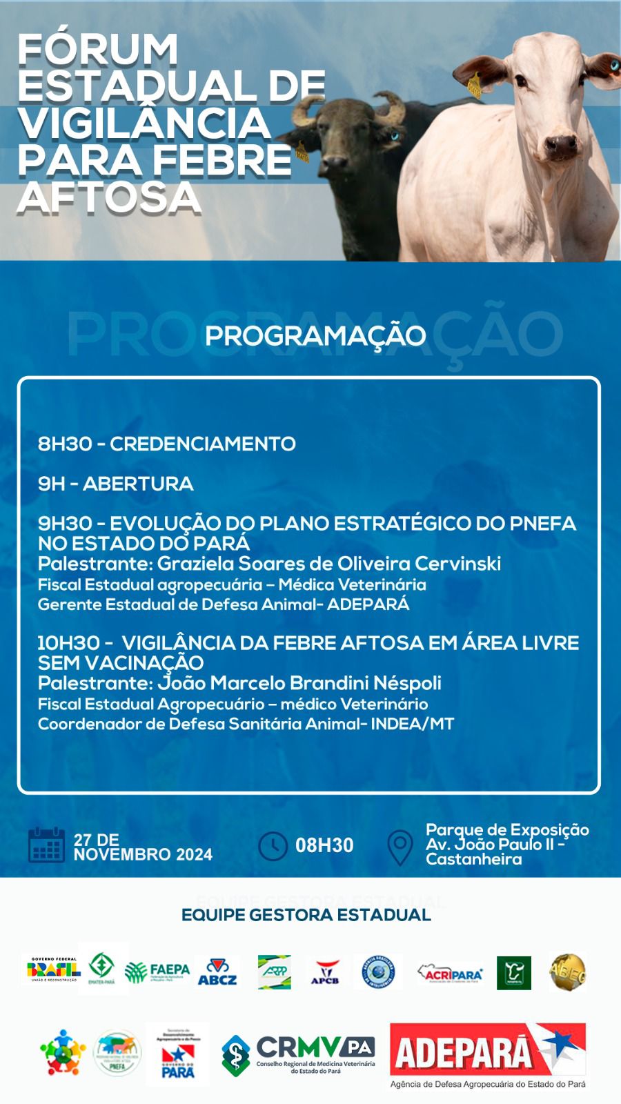 programação