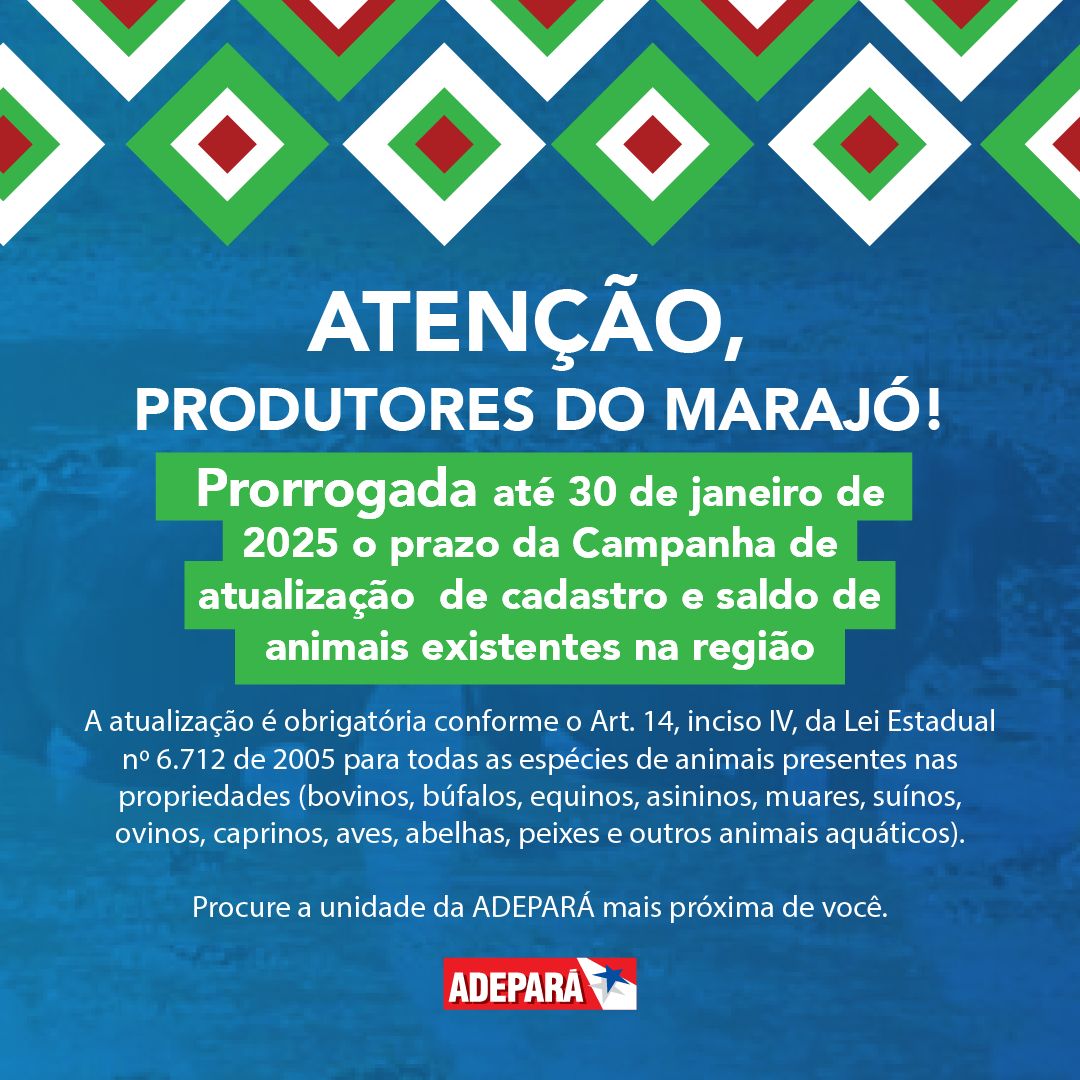 card informativo da campanha