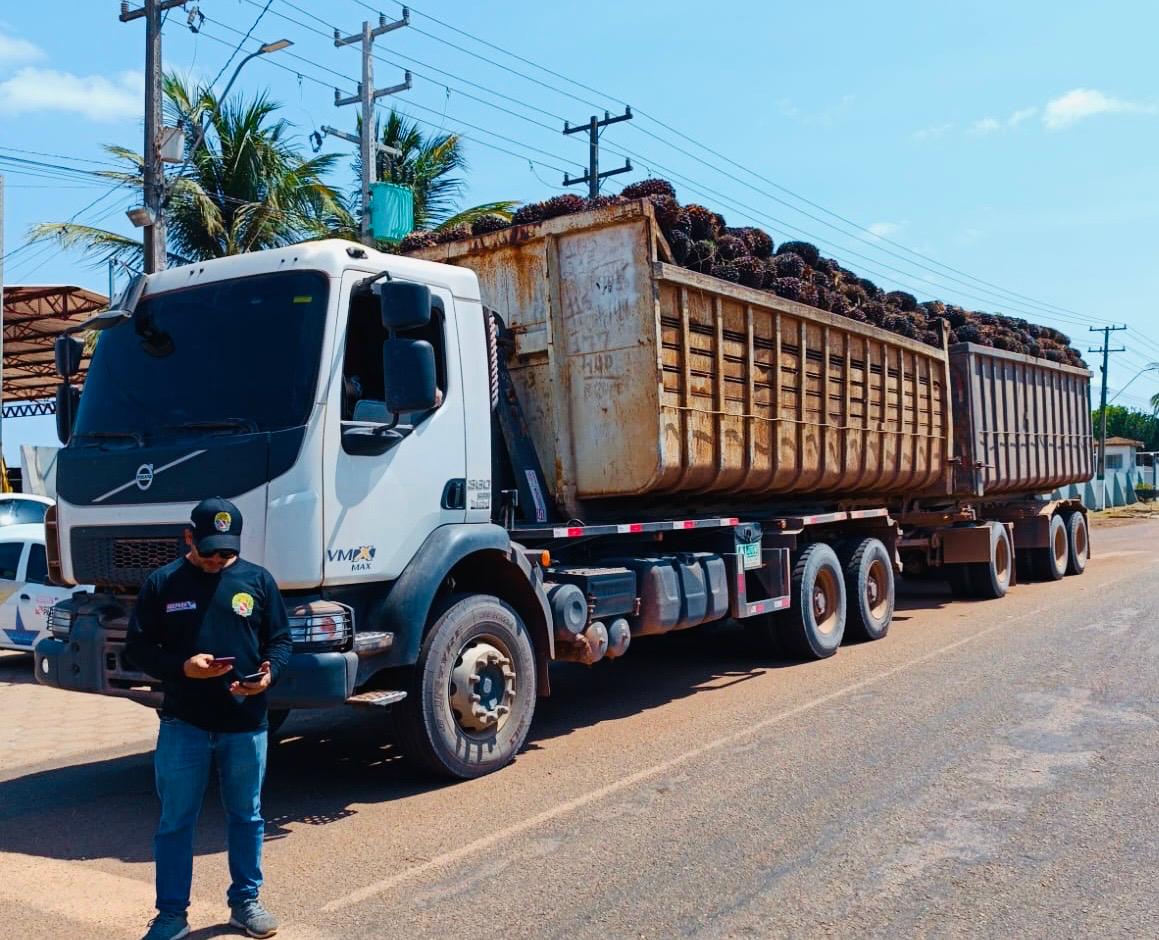 fiscalização do trânsito de dendê