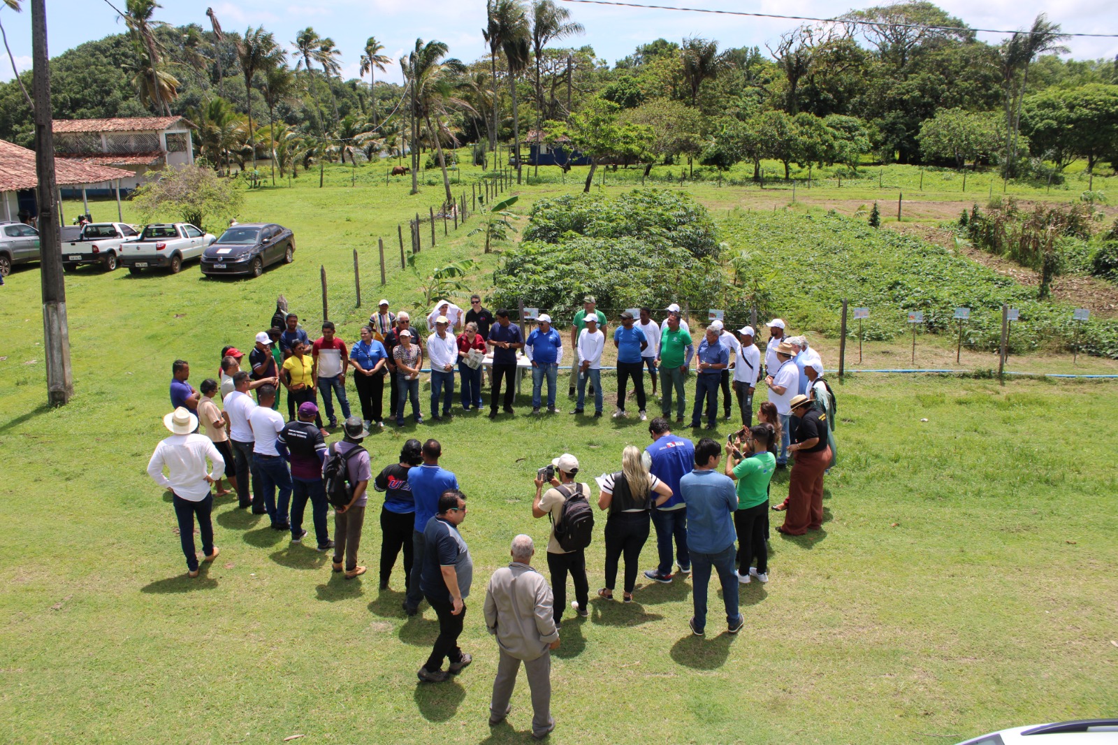 visita fazenda embrapa salvaterra