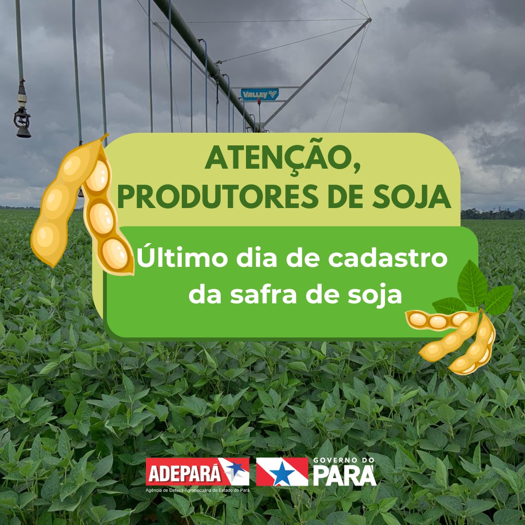 ùltimo dia para o cadastro da soja