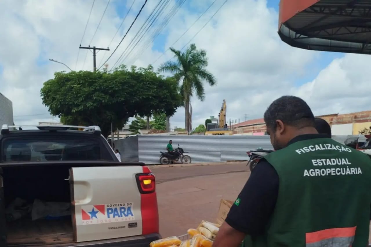polpa de frutas sem certificado