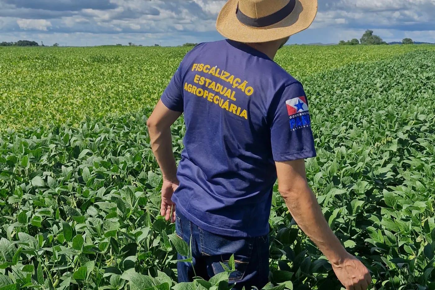 Servidor em campo de Soja