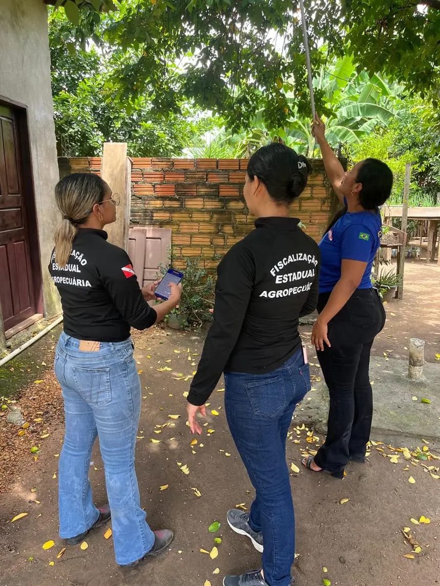 Treinamento em Juruti