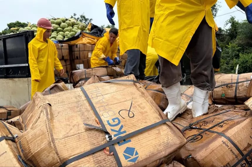 Carga irregular de pescado