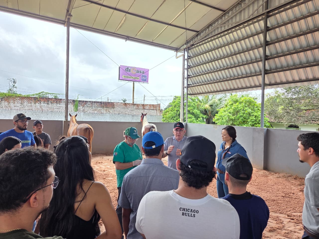 Curso Semanas do Cavalos