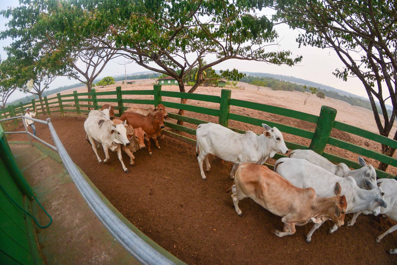 Mutirão de Cadastro Agropecuário