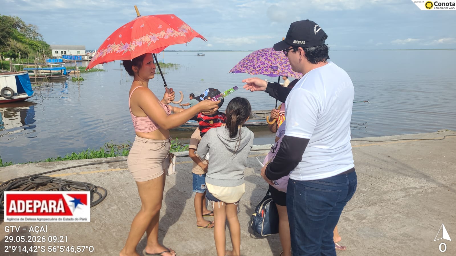 Dia D da Defesa Sanitária Vegetal da Cadeia Produtiva do Açaí 