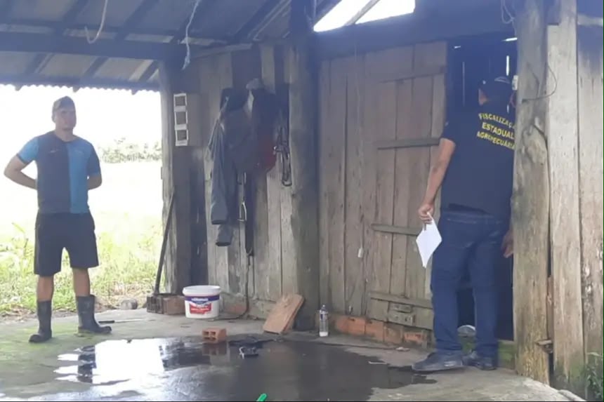 Fiscal Estadual Agropecuário Gustavo Amaral realizou a inspeção