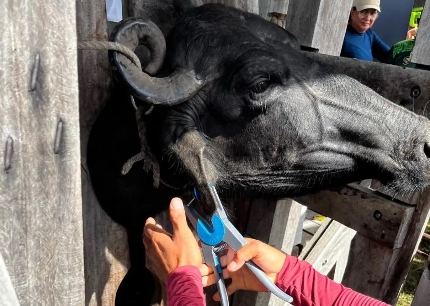 curso de OPR em Salvaterra