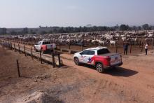 fiscalização em fazendas