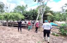 equipes da Adepará estão em Muaná