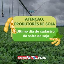 último dia para o cadastro da soja