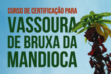 cartaz Curso CFO vassoura