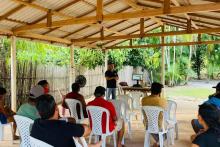 Pecuária Sustentável