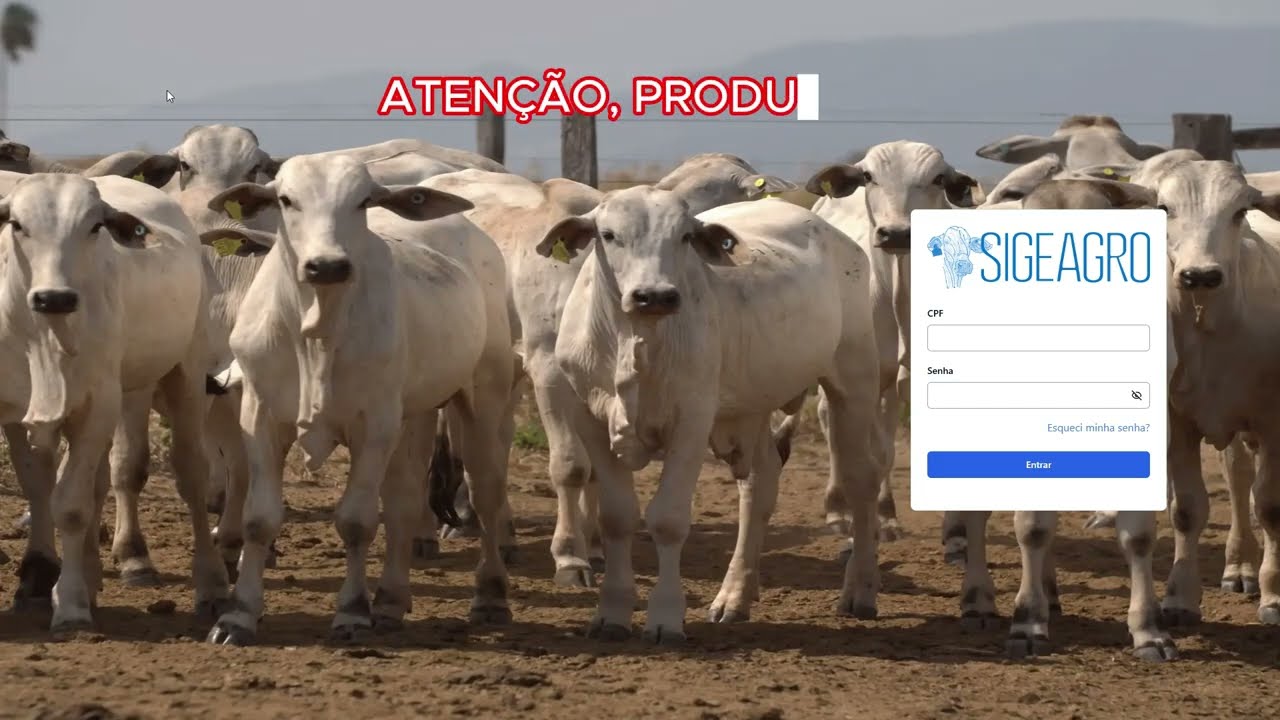 Embedded thumbnail for Tutorial Sistema de Rastreabilidade Bovídeo do Pará - Saída de animais